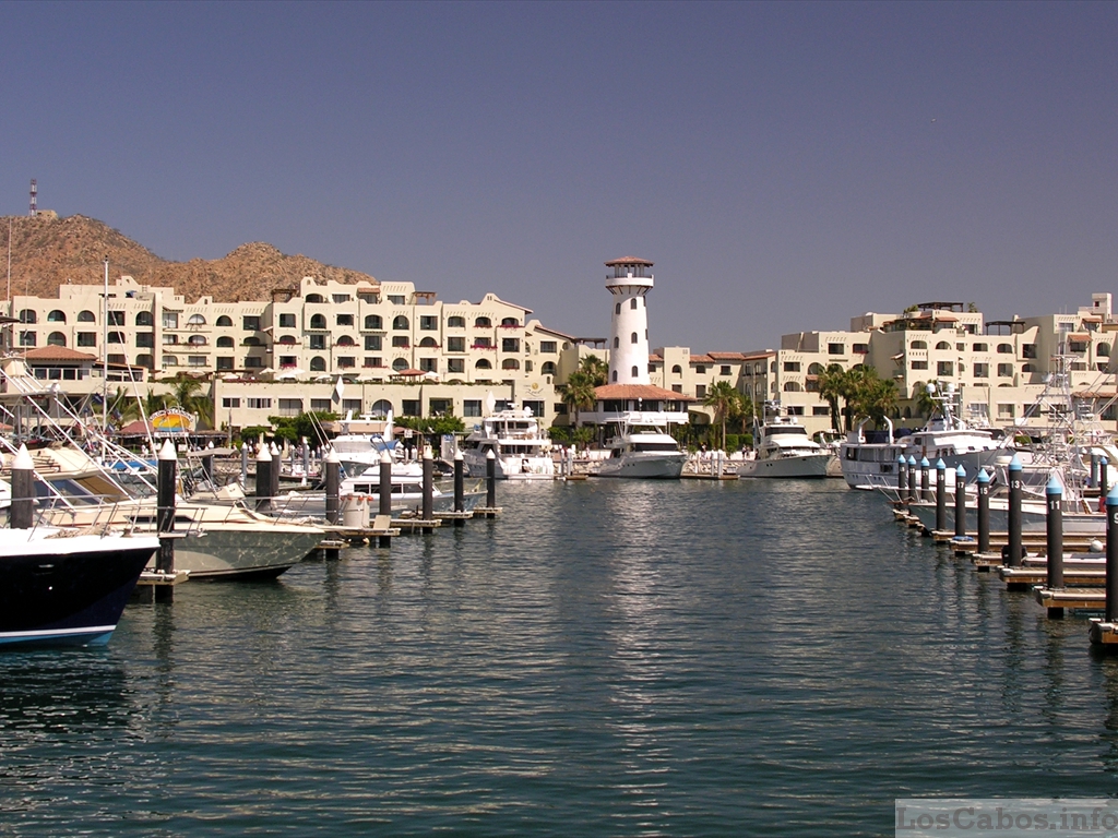 The marina of Cabo San Lucas